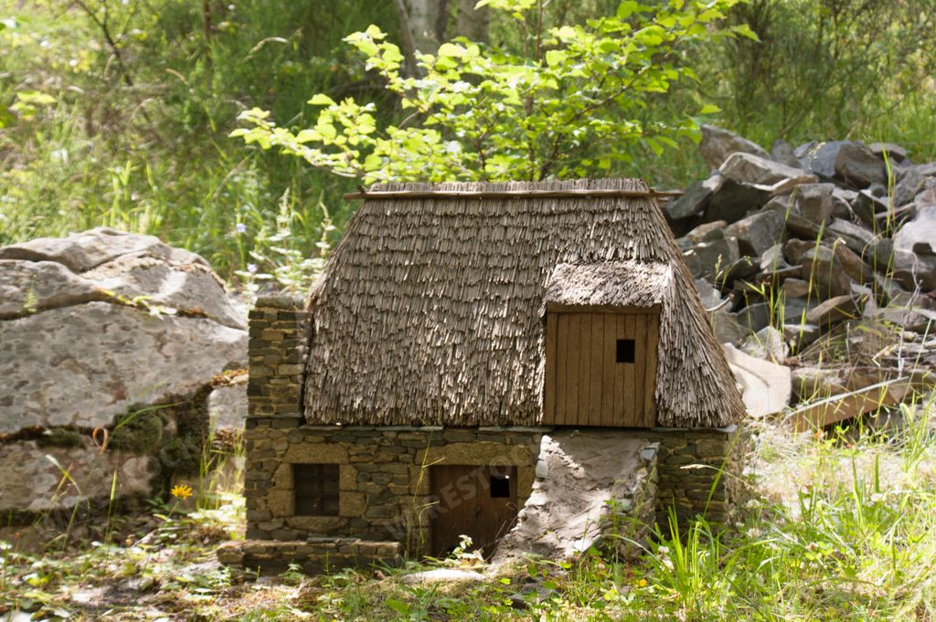 A miniature exponent of the museum in the natural habitat.