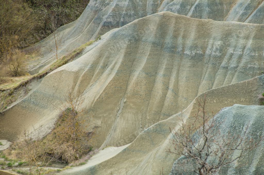 A closeup of Ravine Corboeuf branch and sand hills in the background