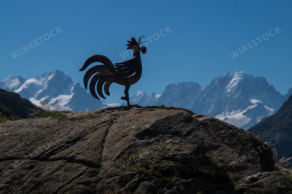 A shot of the weather vane cock on the top of a big rock with Alps mountains