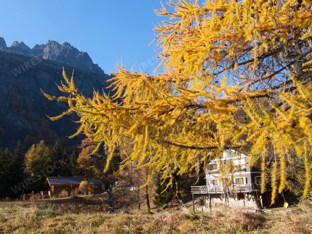An autumnal scenery of Le Planet in Chamonix, Haute-Savoie, France