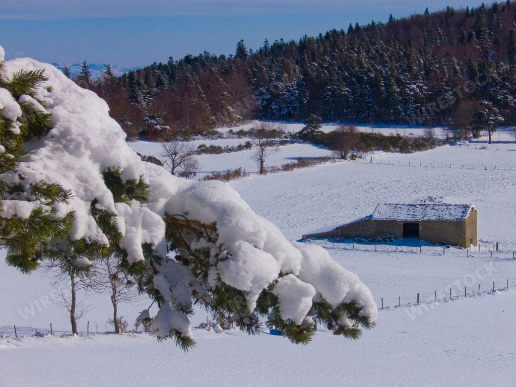 A snowy field with a snowy tree branch in the foreground in Saint-Bonnet-le-Courreau, Loire, France