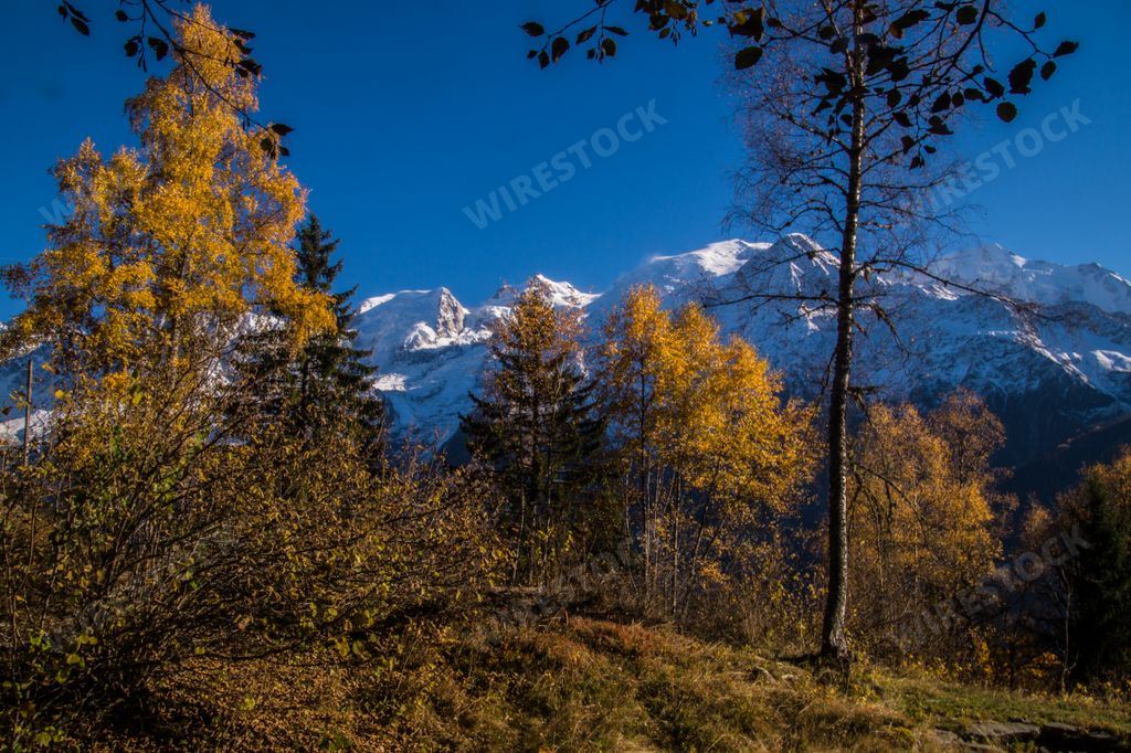 A scenic view of pine trees against mountains covered with forests and snow in Haute Savoie, France