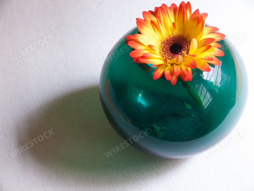 A closeup of a yellow flower in a green round vase with a reflection on a table