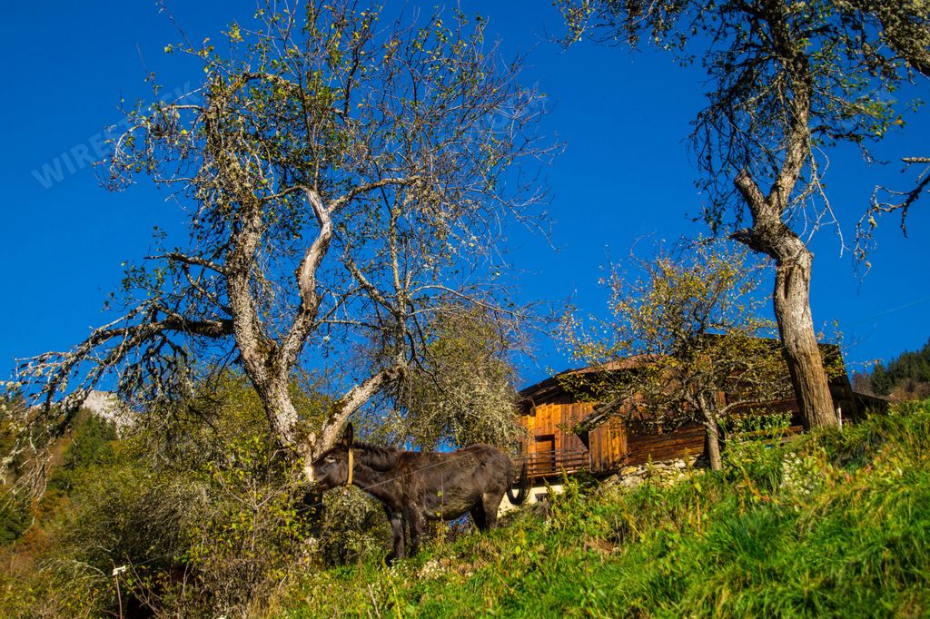 A single-story rural house situated on a lush green hill overlooking a majestic mountain range on a sunny day