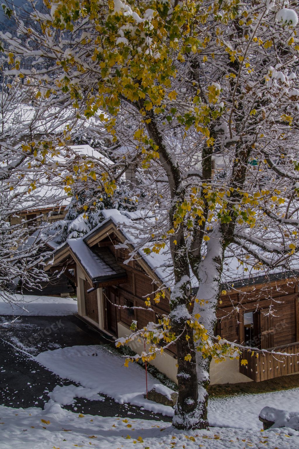 A beautiful view of wooden houses in nature in Haute Savoie, France in winter