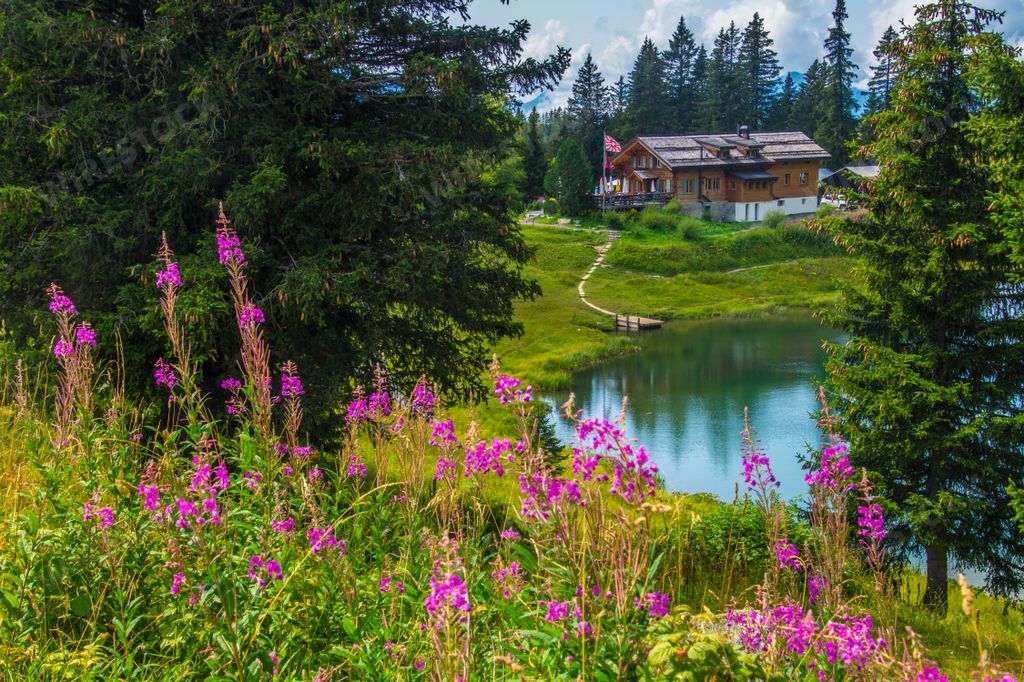 A beautiful landscape of the Alps in Switzerland and the lake of Retaud