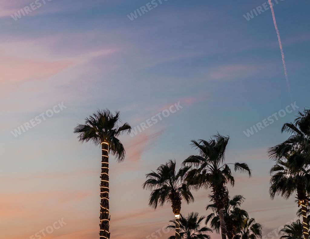 A mesmerizing view of the sunset with palm trees on the foreground