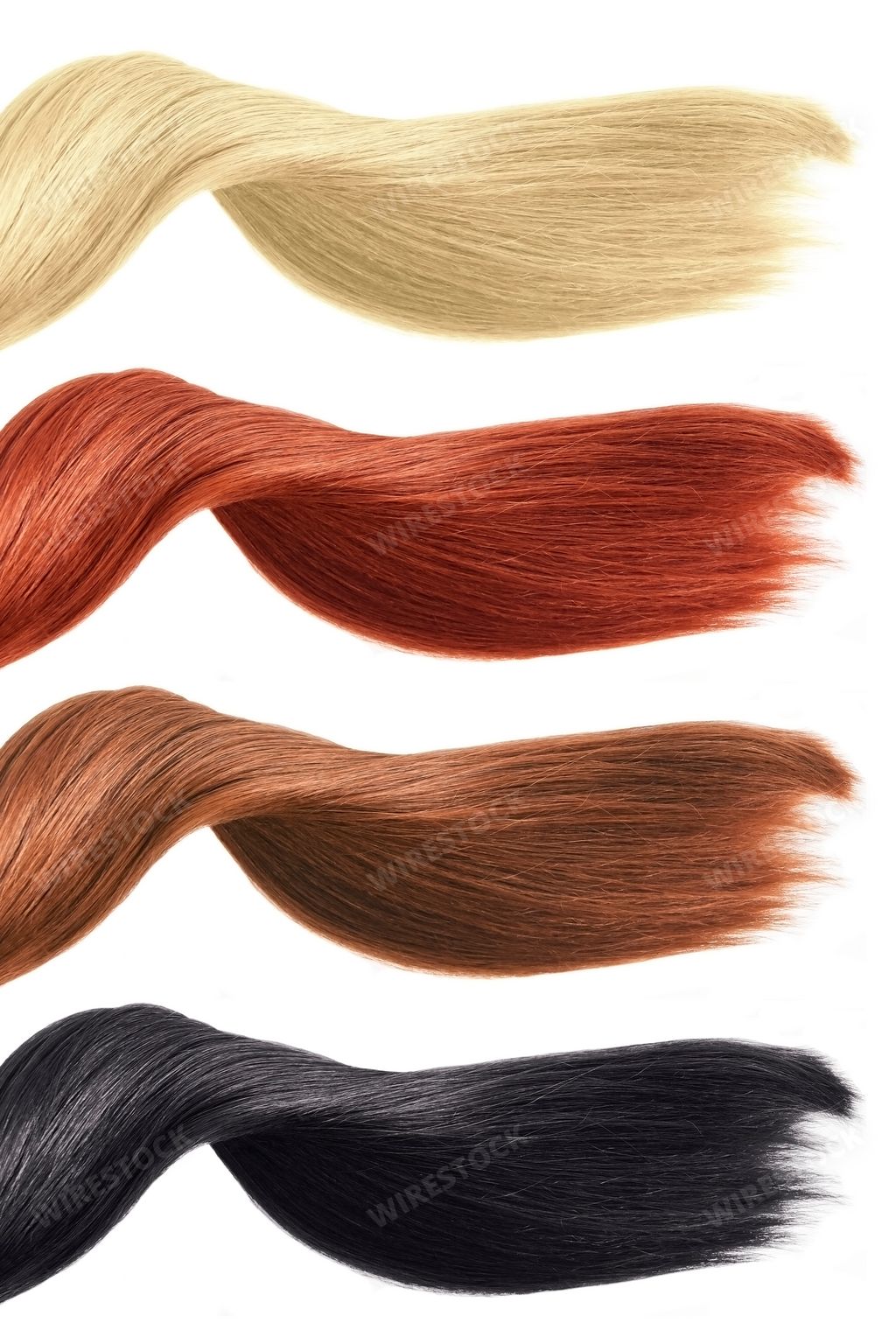 Different colored hair isolated on white background - natural hair color palette