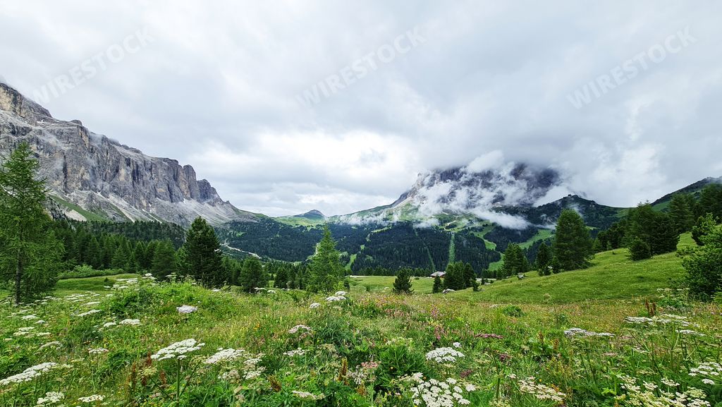 A gloomy summer day outdoors in the mountains with a layer of clouds hovering over the greenery