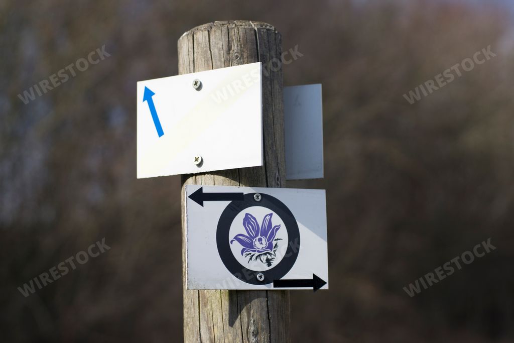 A closeup shot of a signpost with a flower sign showing different directions
