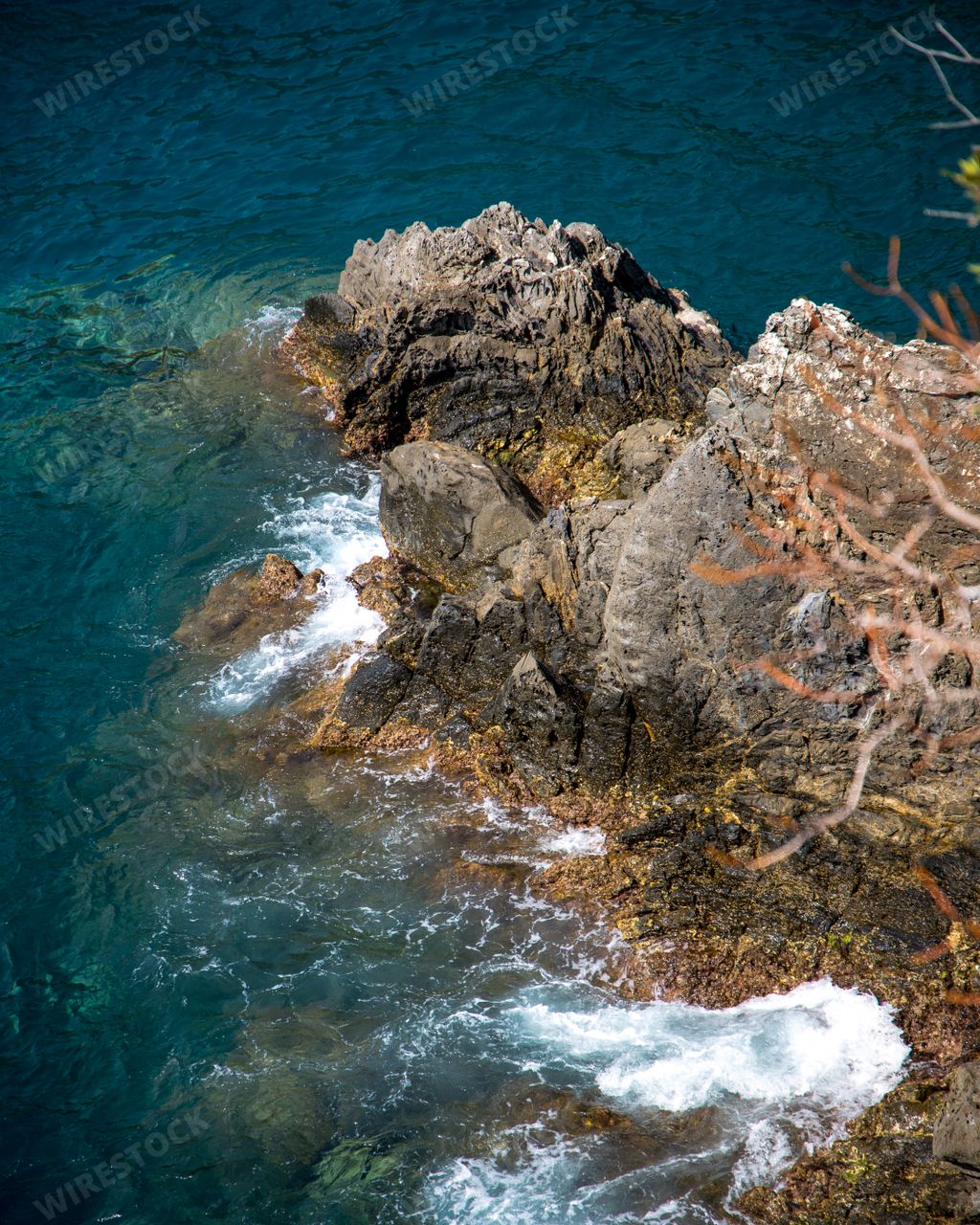 The sea wave crashes on a rocky shore