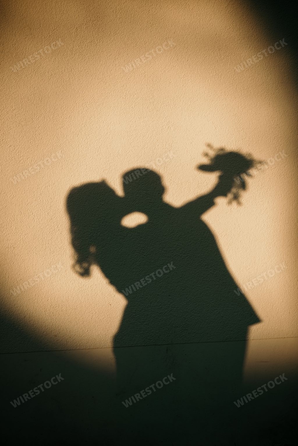 A beautiful shadow of a kissing couple on a wall