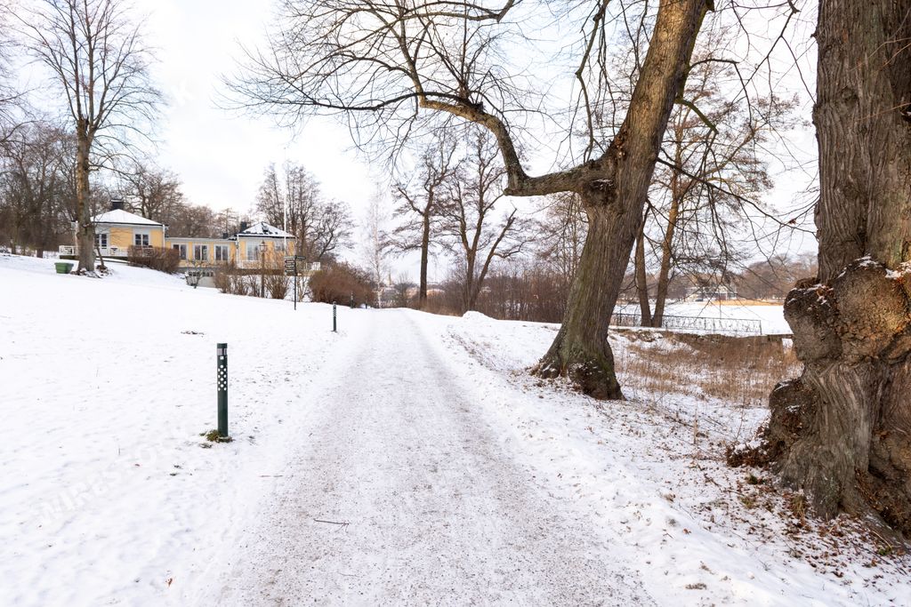 A beautiful snowy road surrounded by dried trees in winter in Stockholm,Sweden
