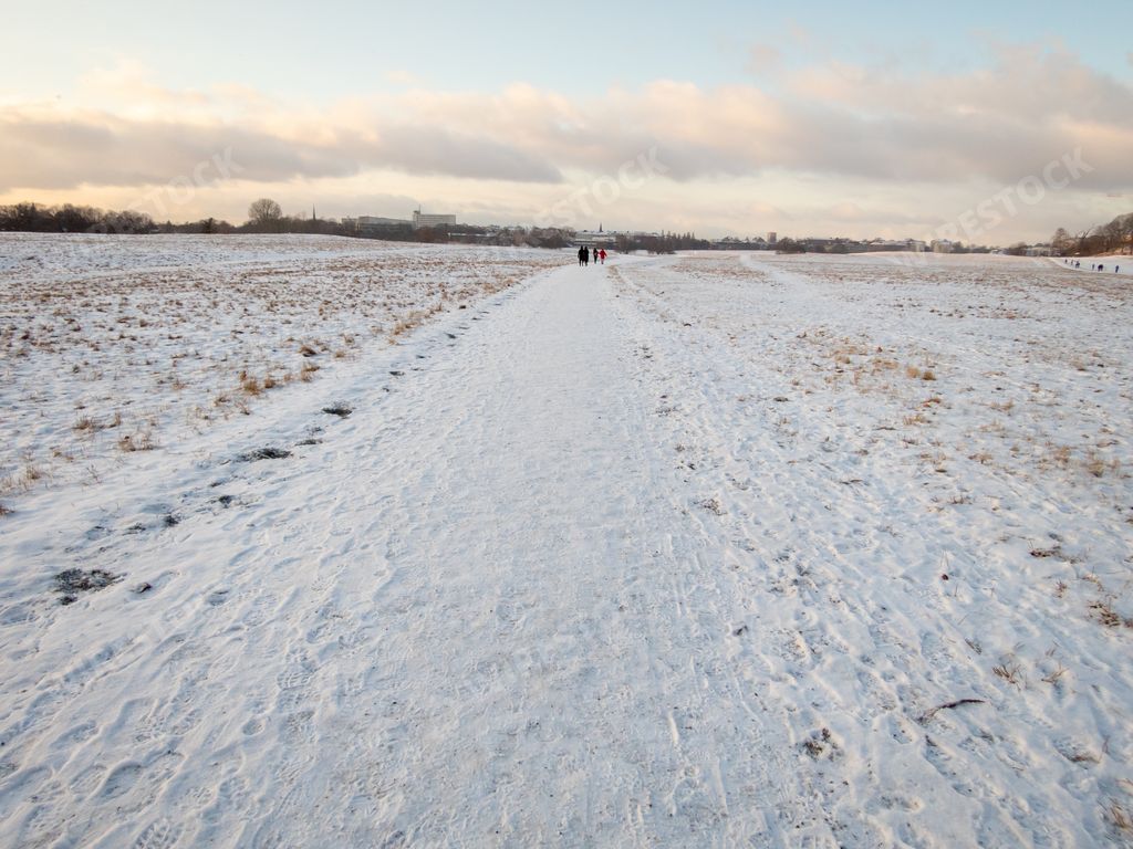 A beautiful snowy field gleaming under the cloudy blue sky in Stockholm,Sweden