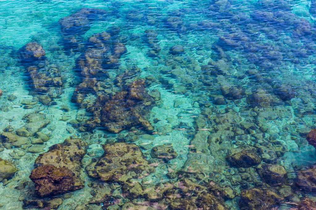 the corals under the azure sea in Cala Ratjada, Mallorca, Spain