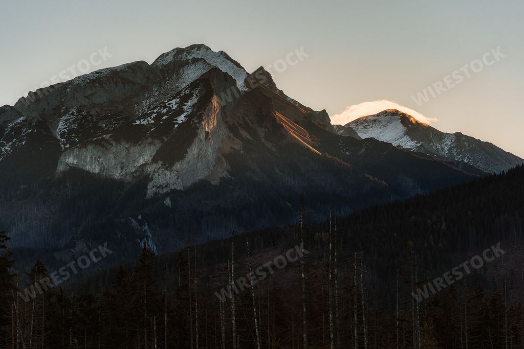 A stunning landscape featuring a majestic mountain range blanketed in snow and dotted with evergreen trees