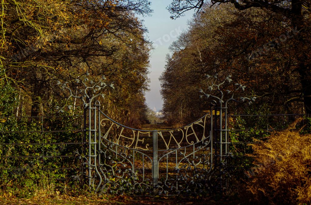 The Way Gate in Richmond Park surrounded by trees against a blue sky on a sunny day