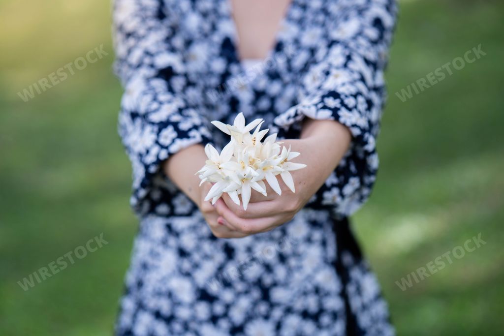 A young female holding fragrance Indian Cork in a field