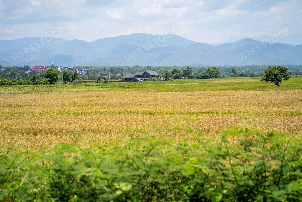 A high angle shot of a flat landscape with green and yellow grass and mountains in the background