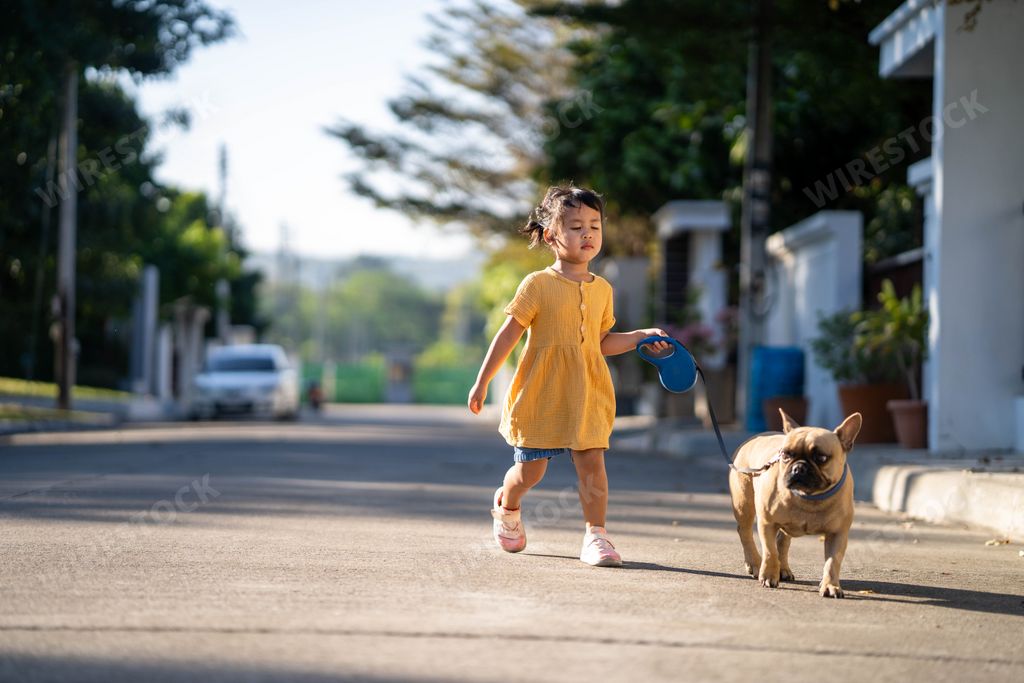 A little Southeast Asian girl warring a yellow dress holding dog collar with bulldog walking in sunny street