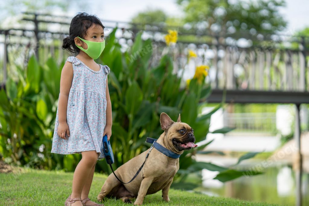 A cute girl with a protective face mask walking with her French Bulldog at the park