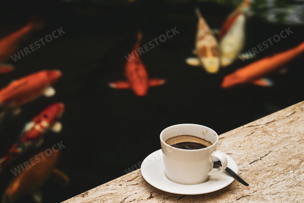 A cup of coffee near a koi pond
