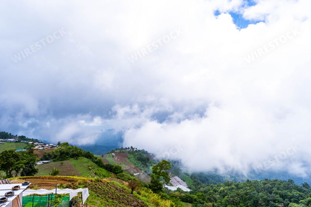 A beautiful view of rice field terraces in Chiang Mai, Thailand