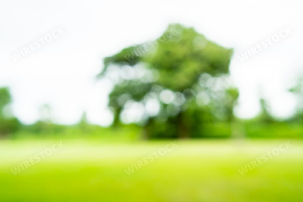 A blurred green grassland in the park against a bokeh background