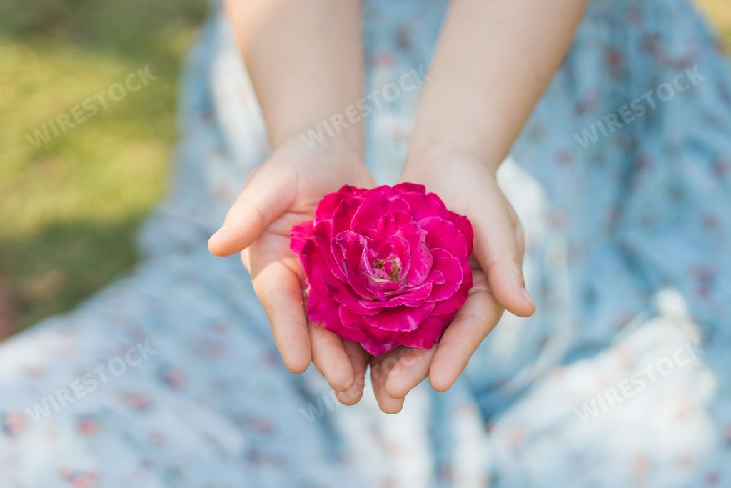 A woman's hands hold rose flowers at the park.