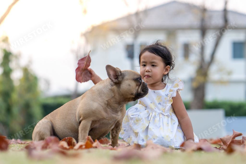 A cute little Thai girl sitting with her French bulldog in a park