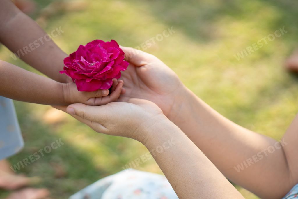 A woman's hands hold rose flowers at the park.