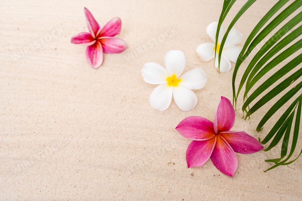 An abstract tropical background with colorful jasmine flowers