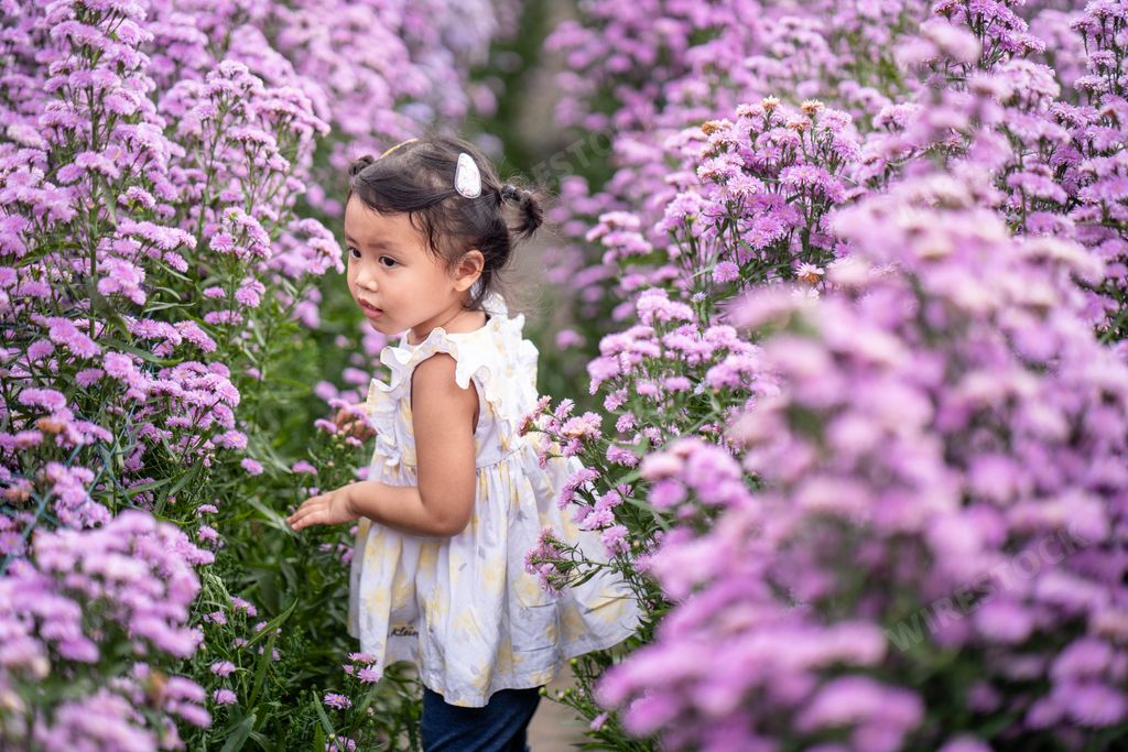 A cute little Thai girl in a field with beautiful purple flowers
