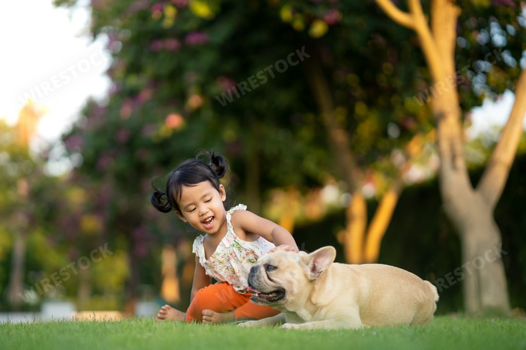 A cute little Asian girl playing with her French bulldog in a park