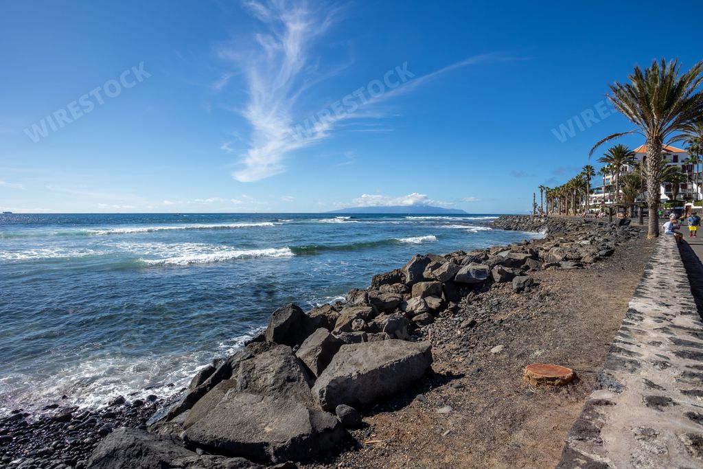 A tropical beach scene featuring swaying palm trees, smooth rocks, and rolling waves