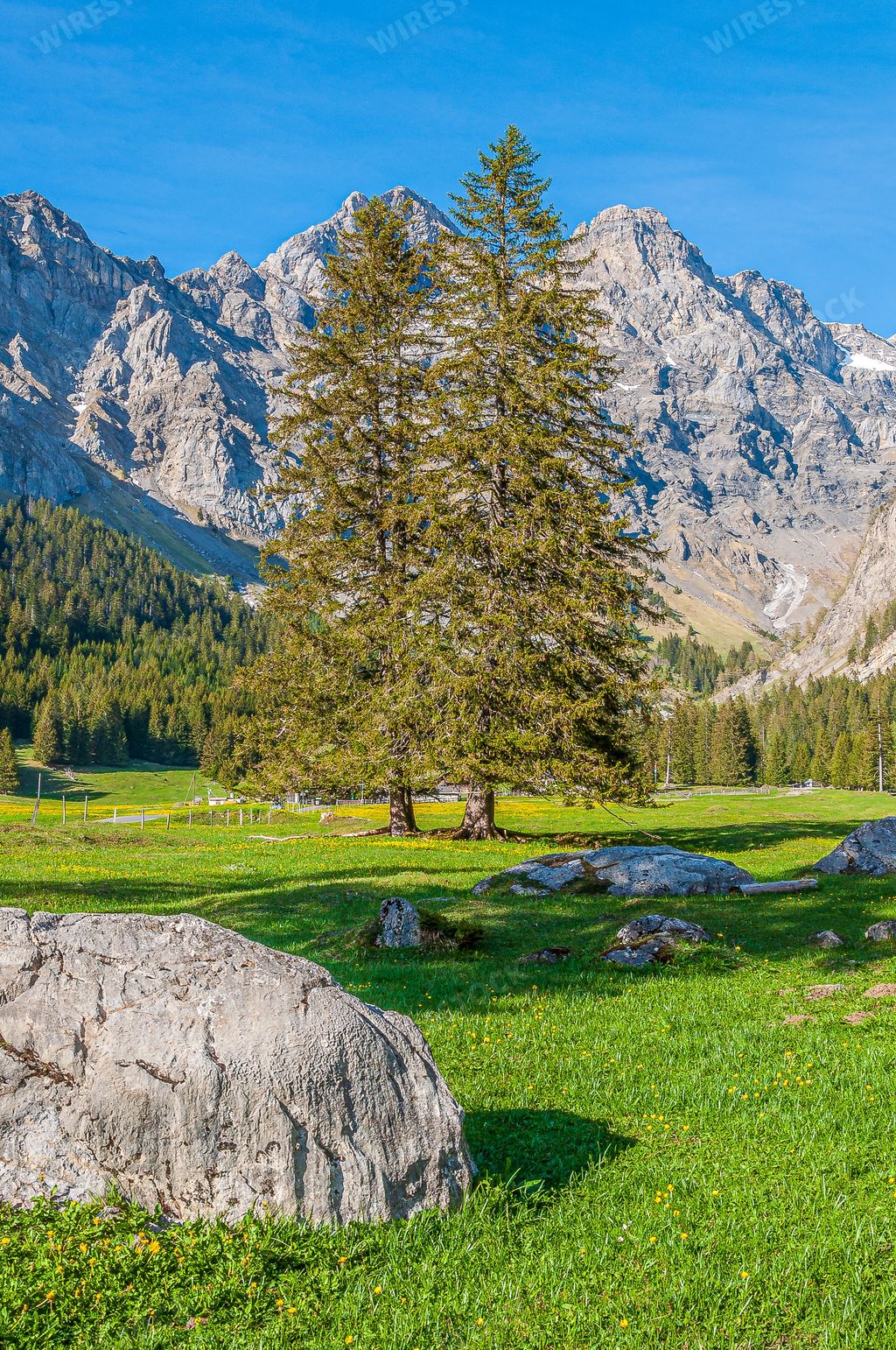 A beautiful mountainous landscape with greenery and mountains in the Swiss Alps