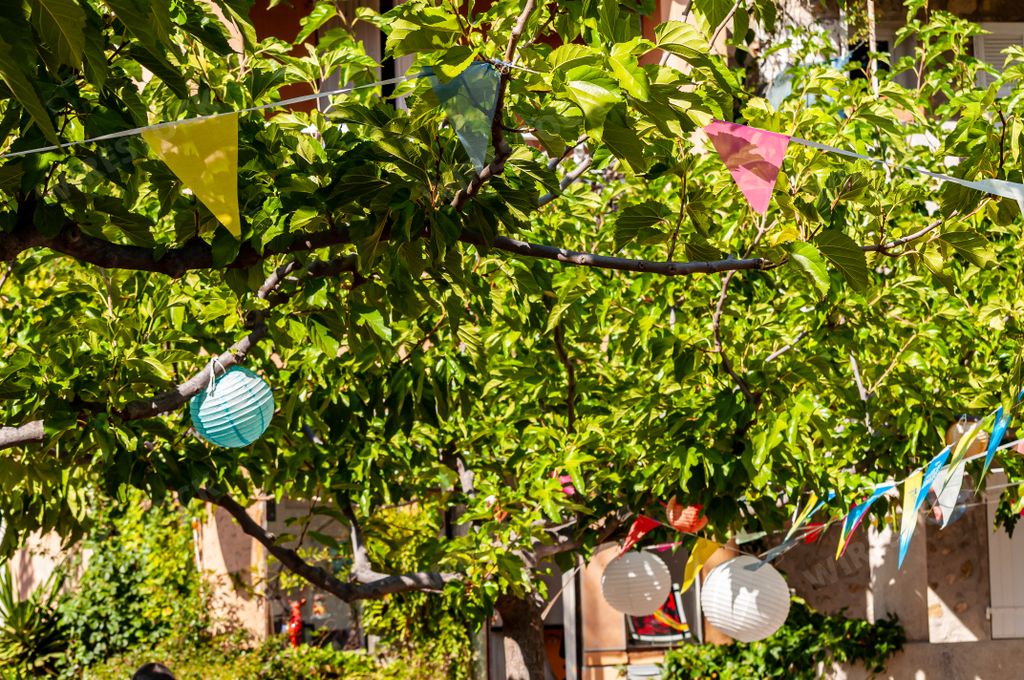 A closeup shot of beautiful paper lanterns hanging on the tree