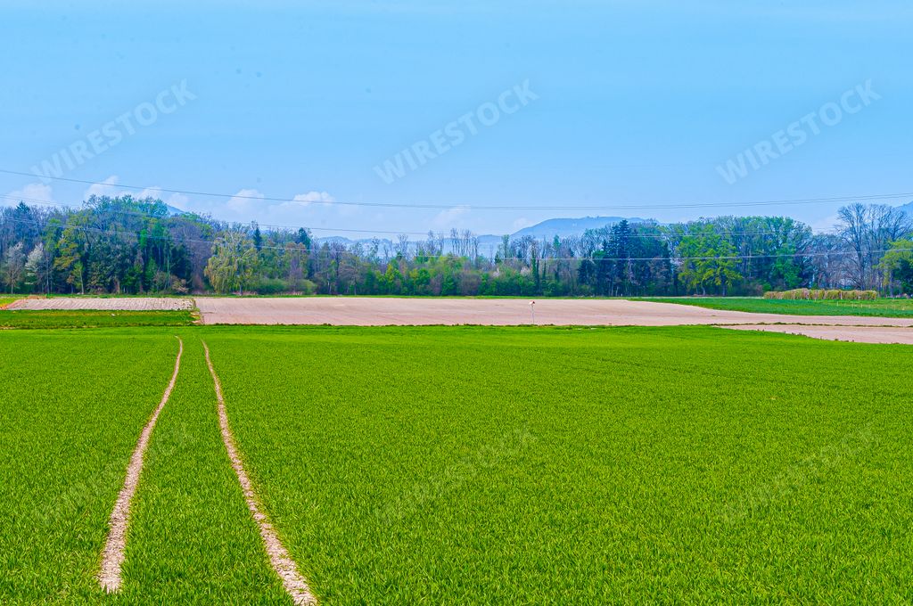 A beautiful view of the road with mountains in the background in The Rhone Plain in Switzerland