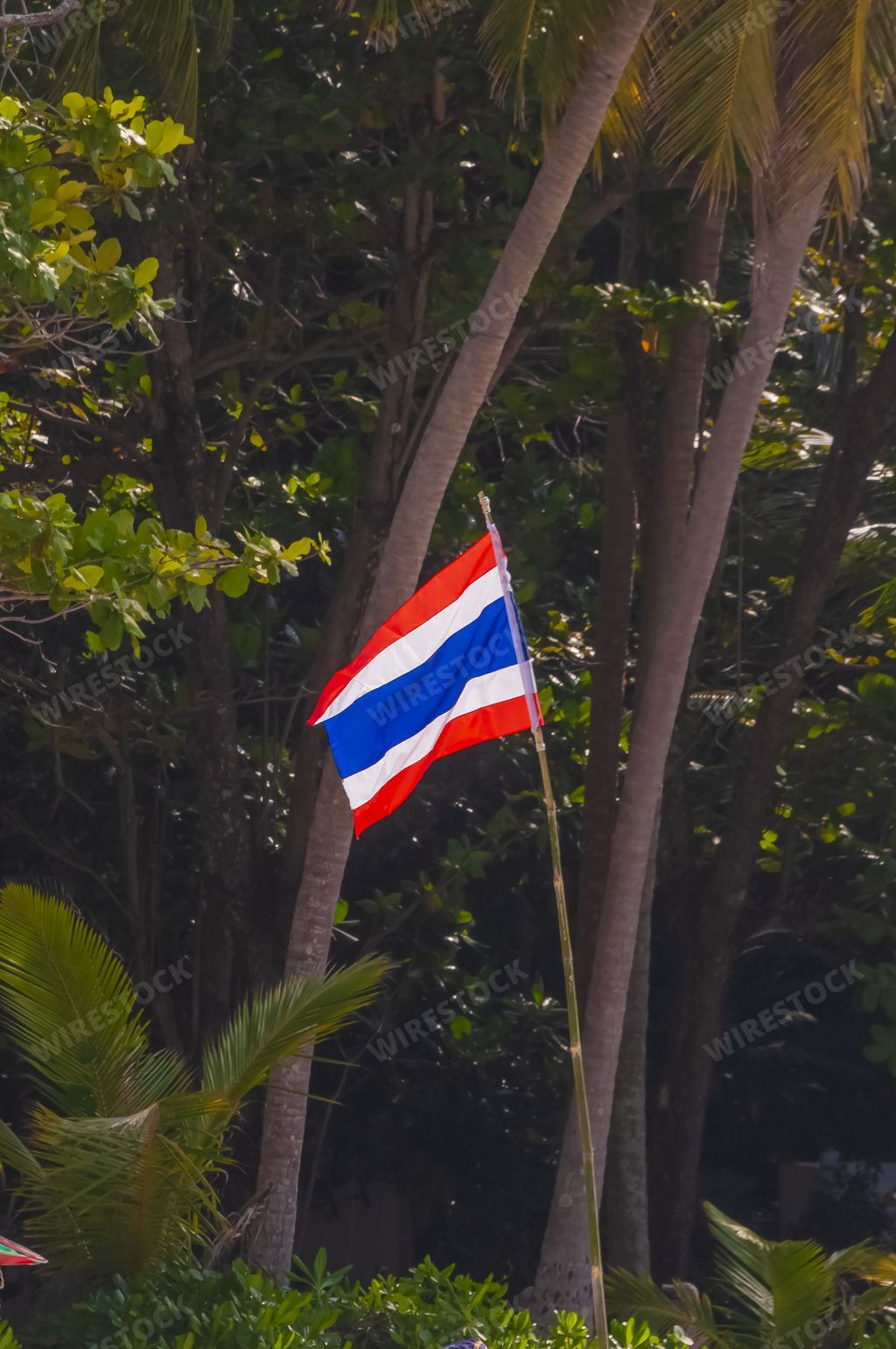 A vertical shot of the flag of Thailand attached to a wooden stick in tropical area