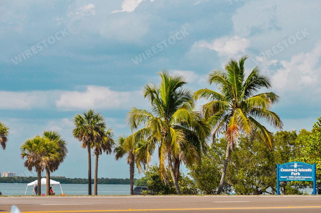 The beautiful view of the palm trees near the beach in Sanibel Island, Miami, USA