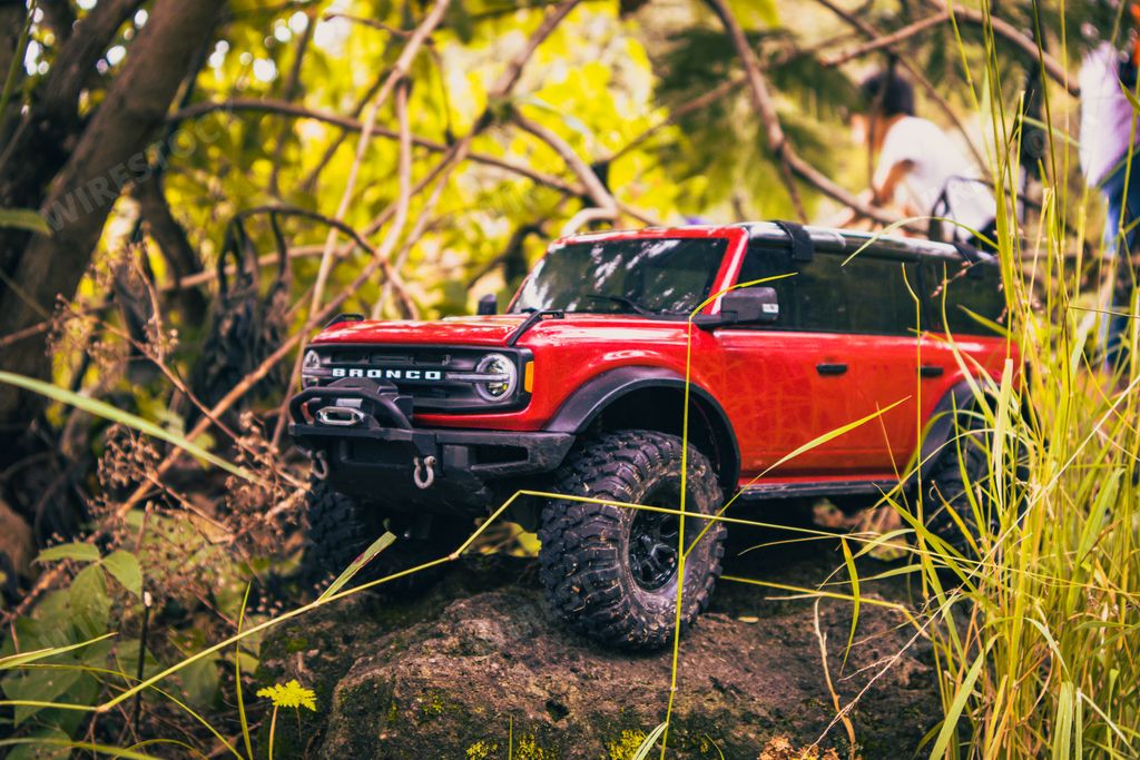 A closeup of a small figure-toy of a red car with remote control surrounded by green grass