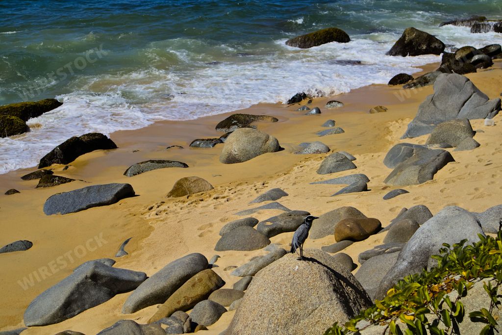 One of the affordable tourist destinations in Mexico happens to be this small coastal town of Puerto Vallarta on the Pacific Coast.