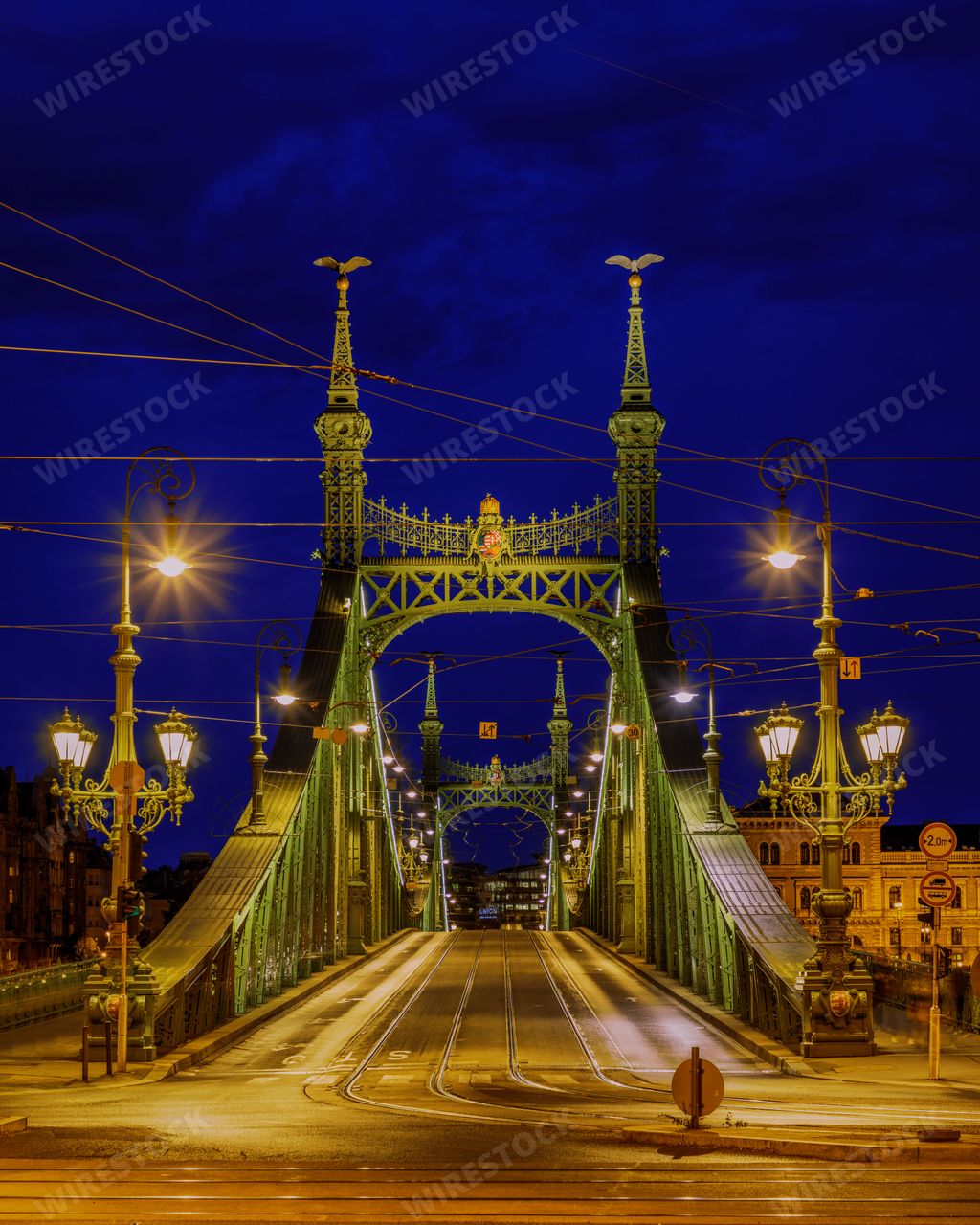 A nighttime scene of Budapest, Hungary with the illuminated Liberty Bridge spanning the Danube River