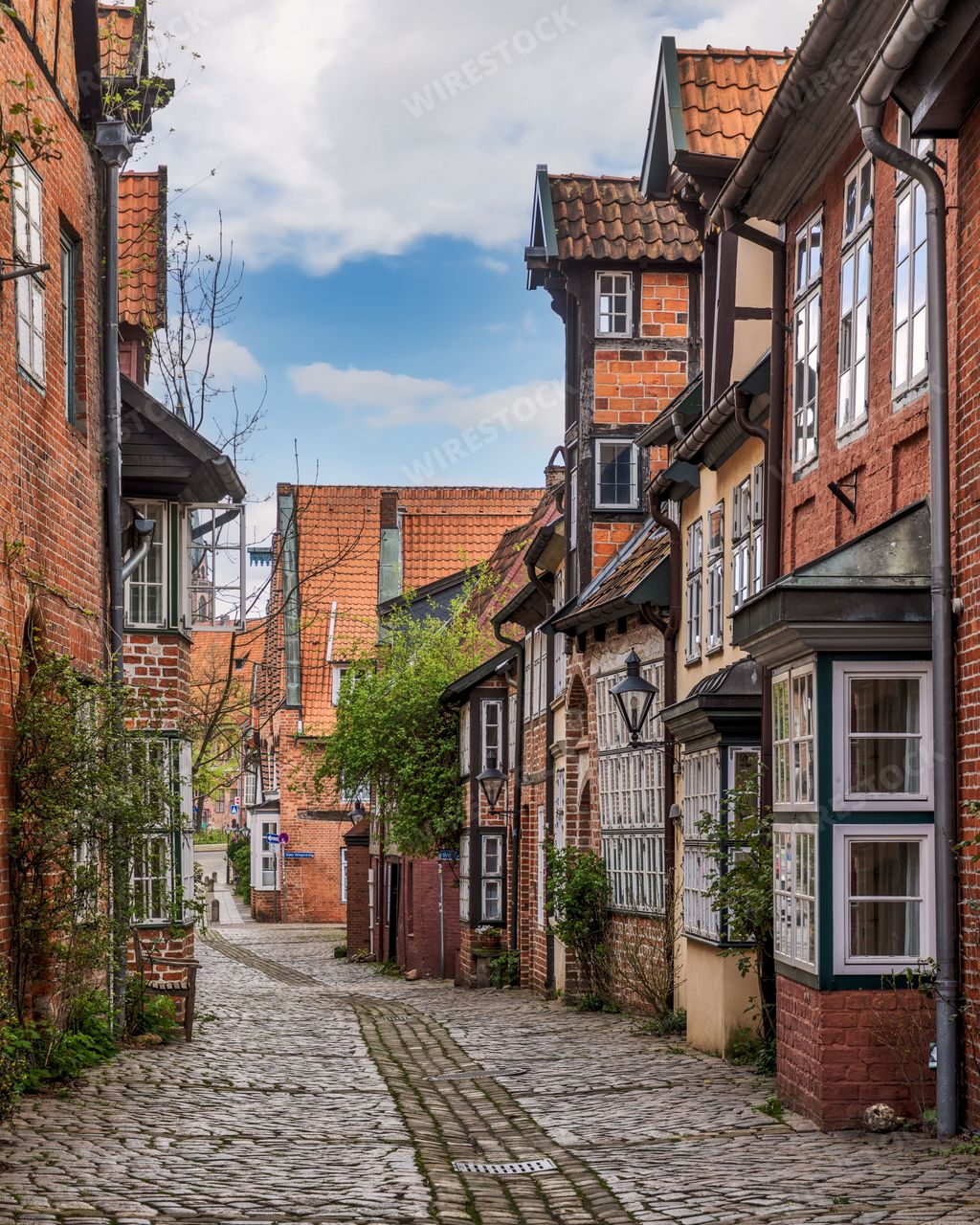 A beautiful cobblestone alley with old medieval buildings in old town of Lueneburg, Germany