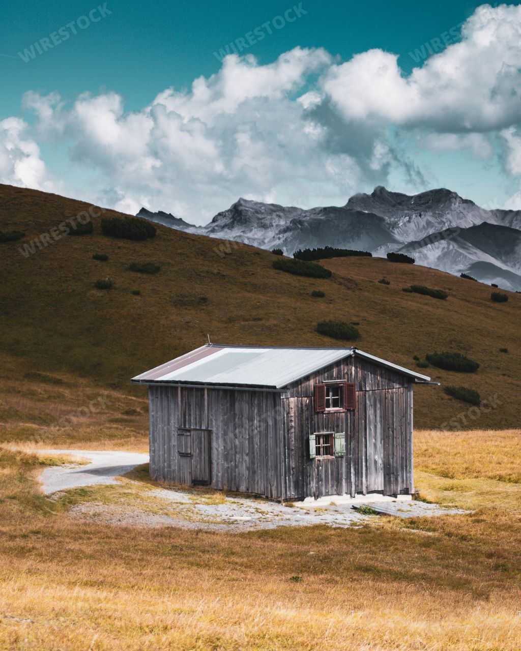 A vertical picture of an abandoned wooden house in the middle of nowhere
