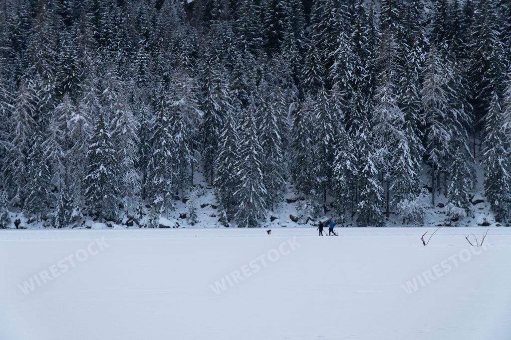 A beautiful view of a snowy landscape with trees on a cold winter day