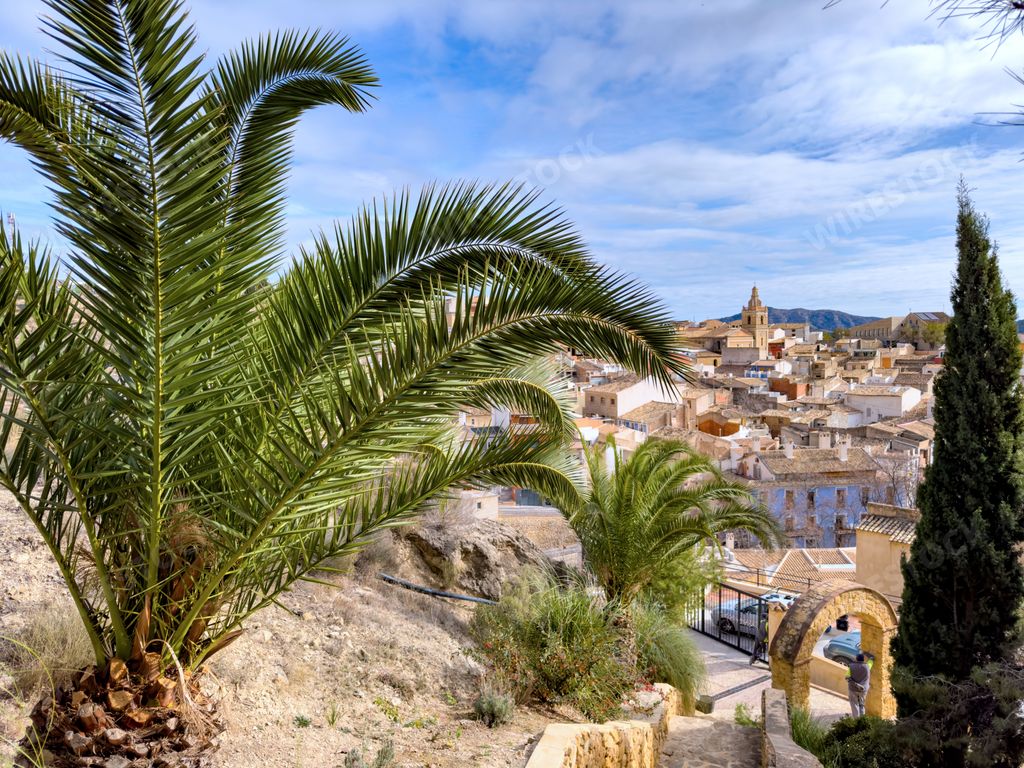 A scenic view of Relleu, the Mediterranean town with palm trees in the foreground and a church in the background under a partly cloudy sky