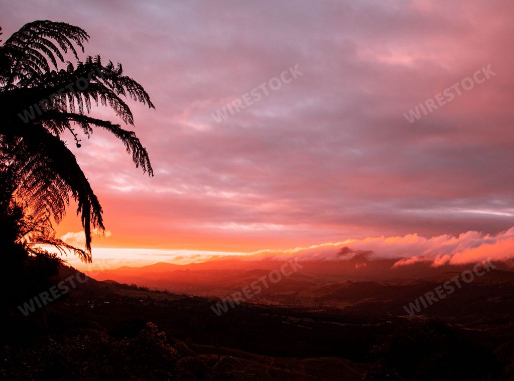 A beautiful view of a pink color sunset over the palm tree silhouette