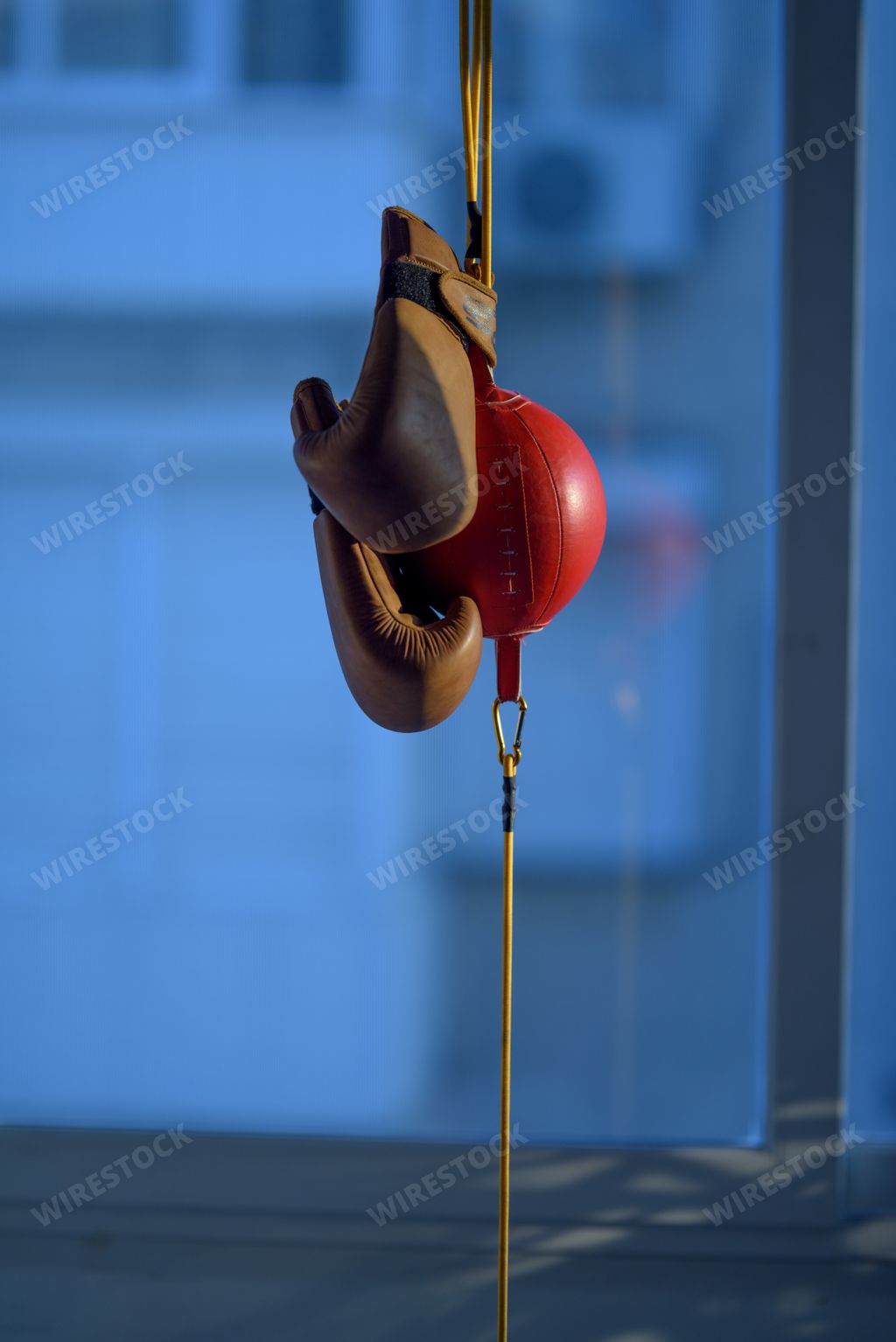 A vertical closeup of boxing gloves and a speedball under the sunlight with a blurry background