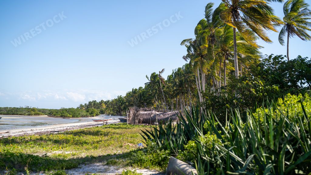A stunning view of a beautiful beach in Mocimboa da Praia, in the Cabo Delgado region of Mozambique